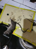 达豪 捕鼠神器一老鼠贴窝强力粘鼠板端大号驱鼠灭鼠家用5张装 实拍图