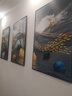 莫小邪北欧客厅装饰画三联沙发背景墙挂画现代简约大气餐厅壁画卧室墙画 前程似锦 40*60cm布纹膜三联画 黑边 实拍图