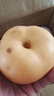 闽域寻鲜山东莱阳秋月梨当季新品羊脂老树秋月梨整箱送礼水果秋月梨 9斤【店长力荐 单果250g+】净重8.5斤 【梨子爱好者首选】 实拍图