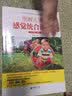 图解儿童感觉统合训练（全彩图解 实操版） 实拍图