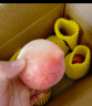 京鲜生 河北春雪桃 鲜桃子4个装 单果150g起 生鲜 新鲜水果 实拍图
