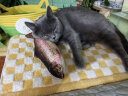 麦富迪猫粮猫零食猫湿粮猫条猫罐头尝鲜大礼包428g 成猫款 实拍图