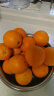 京鲜生 美国新奇士晚季脐橙 3斤装 单果180g+ 源头直发 一件包邮 晒单实拍图