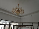 韵钰客厅吊灯欧式奢华大气水晶灯吸吊两用卧室餐厅复式楼吊灯具套餐 15头（三色调光）吸吊两用 实拍图