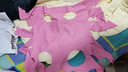 宠号 宠物猫咪衣服 绝育服 母猫 手术服小猫猫防掉毛 粉色 L 实拍图