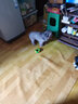 宜特（EETOYS）抱球猪猪狗狗发声玩具运动系列趣味互动搞怪陪伴解闷宠物用品 实拍图
