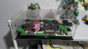 斯纳恩儿童积木玩具成人乐拼装天安苏州园林小颗粒模型六一儿童节礼物 实拍图