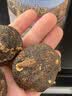 雄在【原种大玛咖高海拔】高原干果玛卡玛咖粉马卡切片泡酒泡茶补防秘鲁黑玛卡种植环境非进口官方 精选大果玛咖250克【整果】 实拍图