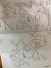 美术入门基础教程——白描起步 实拍图