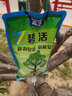 森活碧活大树营养液树木吊针液大树吊水花木绿化吊瓶促生根发芽成长液 实拍图