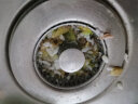 波洛克（Pollock）厨房水槽过滤网洗菜盆漏水塞水槽弹跳过滤芯防堵防臭不锈钢升级款 晒单实拍图