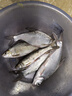 刘志强全能窝鱼饵料谷子大师方块饵料四季通杀窝料鲤鱼鲢鳙打窝料野钓 【全能窝800g】3包 实拍图