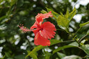 中一（zhongyi） 中一光学 85mm F2.0全画幅人像手动对焦镜头EF\AI\FE\FX 索尼E口-黑色 标配 实拍图
