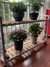 金羡花架阳台实木多层多肉绿萝室内花架子大盆景落地式铁艺花盆架带轮 两层长120*宽30*高70白架+碳烤木 实拍图
