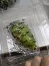 甘果有约 香水柠檬 无籽青柠檬 青柠新鲜水果 塔西提 1斤精品 实拍图