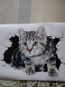 创意个性3D立体小猫汽车贴纸 可爱搞怪猫咪遮挡车身车尾划痕刮痕 3D猫贴18*13厘米单张 晒单实拍图