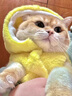 阿莫尔网红猫咪衣服秋冬季搞怪狗狗衣服可爱搞笑小型猫犬四脚衣连帽泰迪 皮卡丘变身装 S(建议3-5斤具体参考胸围背长) 实拍图