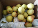 京鲜生 新疆库尔勒香梨5kg 一级 单果100-120g 生鲜水果 实拍图