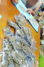 咔搭（CaDA）积木坦克T90坦克男孩高难度系列玩具车 遥控电动大型拼装组装玩具 T90静态版 实拍图