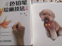 色铅笔绘画技法宝典（绘客出品） 实拍图