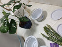 雅亭 鑫腾 环保优质简约塑料花盆 圆形加厚花盆园艺阳台托盘花盘 280型-口径25厘米 含托盘 实拍图