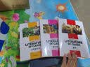 快乐读书吧六年级必读书目(全3册)小英雄雨来 童年 爱的教育 小学生课外阅读世界经典文学少儿名著必读童话故事 开学季 实拍图