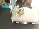 Reptile Structure爬结构爬虫钙粉豹纹守宫蜥蜴乌龟补钙质开食电解维他命OUTD3肠胃 160g 2瓶 无D3钙粉+维生素 实拍图