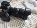 佳能（Canon）EF 24-70mm f2.8II 24-70 F4全画幅恒定光圈二手镜头 EF 24-70mmF2.8L II USM二代 9新 实拍图
