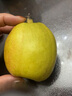 锁季新疆库尔勒香梨现摘新鲜水果脆甜香妃全母梨孕妇水果春节礼盒送礼 净重8斤商超大果 单果120g+ 实拍图