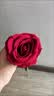 花叙仿真玫瑰花婚礼仿生花装饰生日礼物花束插花客厅绒布假花家居摆件 超大玫瑰艳红色-花朵10cm 1支 实拍图