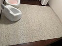优立地毯进口羊毛地毯客厅卧室茶几沙发地毯高级感 原生物01-200×280CM 实拍图