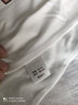 精典泰迪儿童短袖男童T恤女童上衣夏季新款童装宝宝衣服半袖夏装1 28熊同色插肩杏黄 110 实拍图