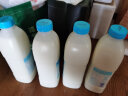 蒙牛 冠益乳 原味酸奶 1.08kg*1瓶 低温酸牛奶 风味发酵乳 实拍图