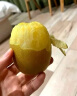 佳沛（zespri）新西兰阳光金奇异果16-18粒原箱单果重约175-233g水果猕猴桃 实拍图