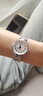 天梭（TISSOT）【同价618】嘉丽小美人系列刘亦菲同款女士腕表瑞士手表送女友 机械钢带款T126.207.11.013.00 实拍图