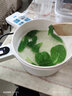 OIDIRE婴儿辅食锅电煮锅电炒锅电蒸锅多功能宿舍蒸煮一体迷你不粘内胆 可定时预约-DZG37【带蒸笼】 实拍图