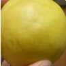 山西玉露香梨 4粒尝鲜装 单果240-280g 生鲜水果 实拍图
