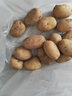 恩施小土豆新鲜马铃薯农家黄心洋芋现挖蔬菜马铃薯 3斤 大果 鹅蛋大小左右 实拍图