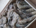 沃鲜汇 黑虎虾 活冻黑虎虾 生鲜虾类 虎虾 黑虎虾16/20规格3斤装 实拍图