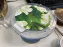 乐纯三三三倍茉莉花茶味希腊式风味发酵乳135g 实拍图