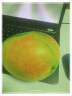 西州蜜哈密瓜 甜瓜2粒装 单果1.4kg起 新鲜水果 实拍图