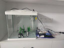 森森桌面鱼缸生态玻璃小型懒人免换水家用缸鱼缸一体缸自循环 (高清玻璃)白380+绿野仙踪景(带20件套) 实拍图