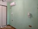 三棵树漆（SKSHU） 【绿色家居】内墙补墙漆新旧房自刷家用涂料 趣森活美妆漆小罐漆 1L P00502-3浅云（） 实拍图