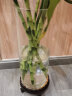 豪斯特丽（HOSTLY）直筒透明玻璃花瓶 特大号客厅摆件 富贵竹玫瑰百合插花平光花瓶 直径12高35 实拍图