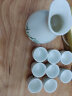 陌上纤虹白酒陶瓷酒具套装中式家用青瓷酒杯复古宫廷风小酒壶白酒盅烈酒杯 竹韵酒具1壶8杯（简单包装） 实拍图