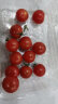 京鲜生 千禧圣女果 小西红柿樱桃番茄 500g装 生鲜水果 实拍图