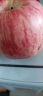 农鲜淘 洛川红富士苹果 12枚 精品礼盒装 果径85-90mm 当季生鲜水果陕西洛川脆甜红富士孕妇水果批发礼盒装 晒单实拍图