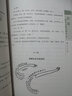 武学名家典籍丛书：陈鑫陈氏太极拳图说（套装共4册 附光盘） 晒单实拍图