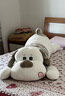涵奕熊可爱毛绒玩具趴趴狗公仔陪你睡觉抱枕长条枕可爱玩偶床上布娃娃送女友生日礼物 灰白条纹  表白利器 1.5米【小兔子公仔】 实拍图