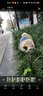 DADAGOU法国斗牛犬衣服宠物棉衣巴哥沙皮胖狗狗秋冬装棉背心加绒加厚棉衣 斗牛犬棉背心-藏蓝色 XL-胸围60CM背长35 实拍图